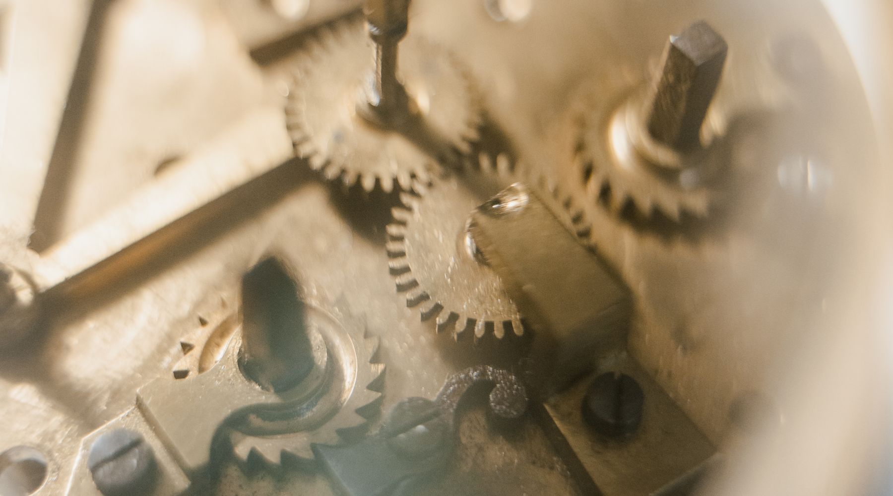 Movement detail